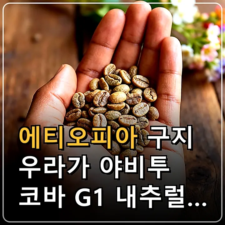 대표 이미지